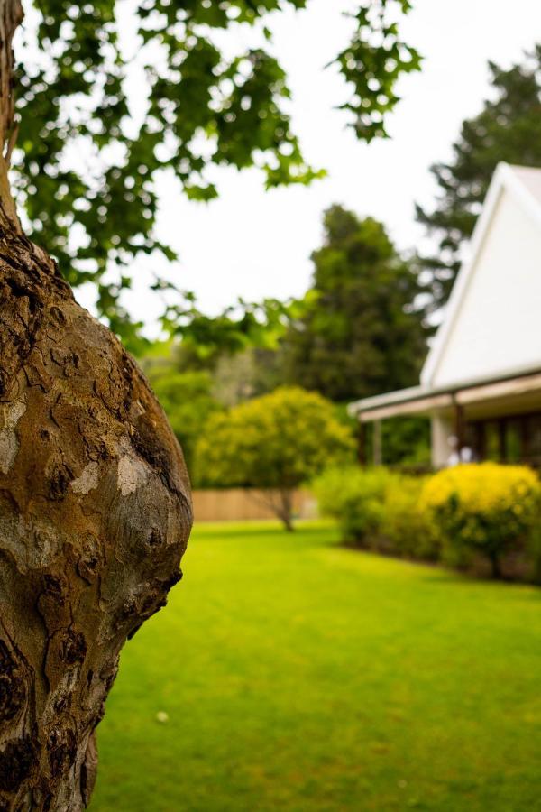 Bwhale Guest House B&B Knysna Zewnętrze zdjęcie