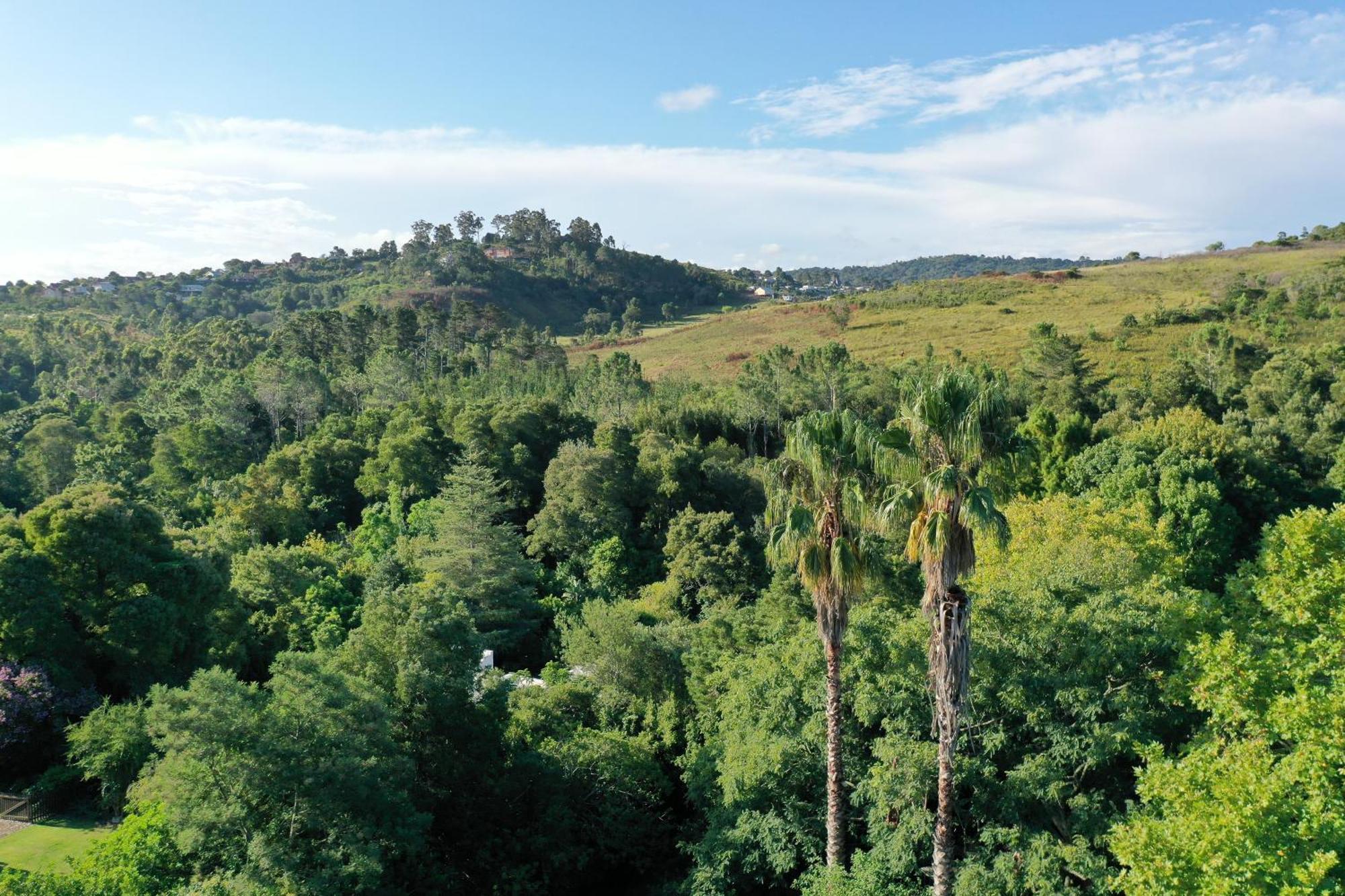 Bwhale Guest House B&B Knysna Zewnętrze zdjęcie